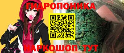 дмт Нальчик