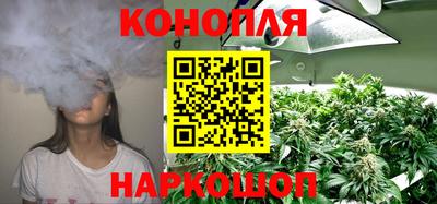 прущие крисы Нарткала