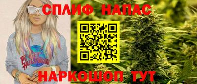дмт Нальчик